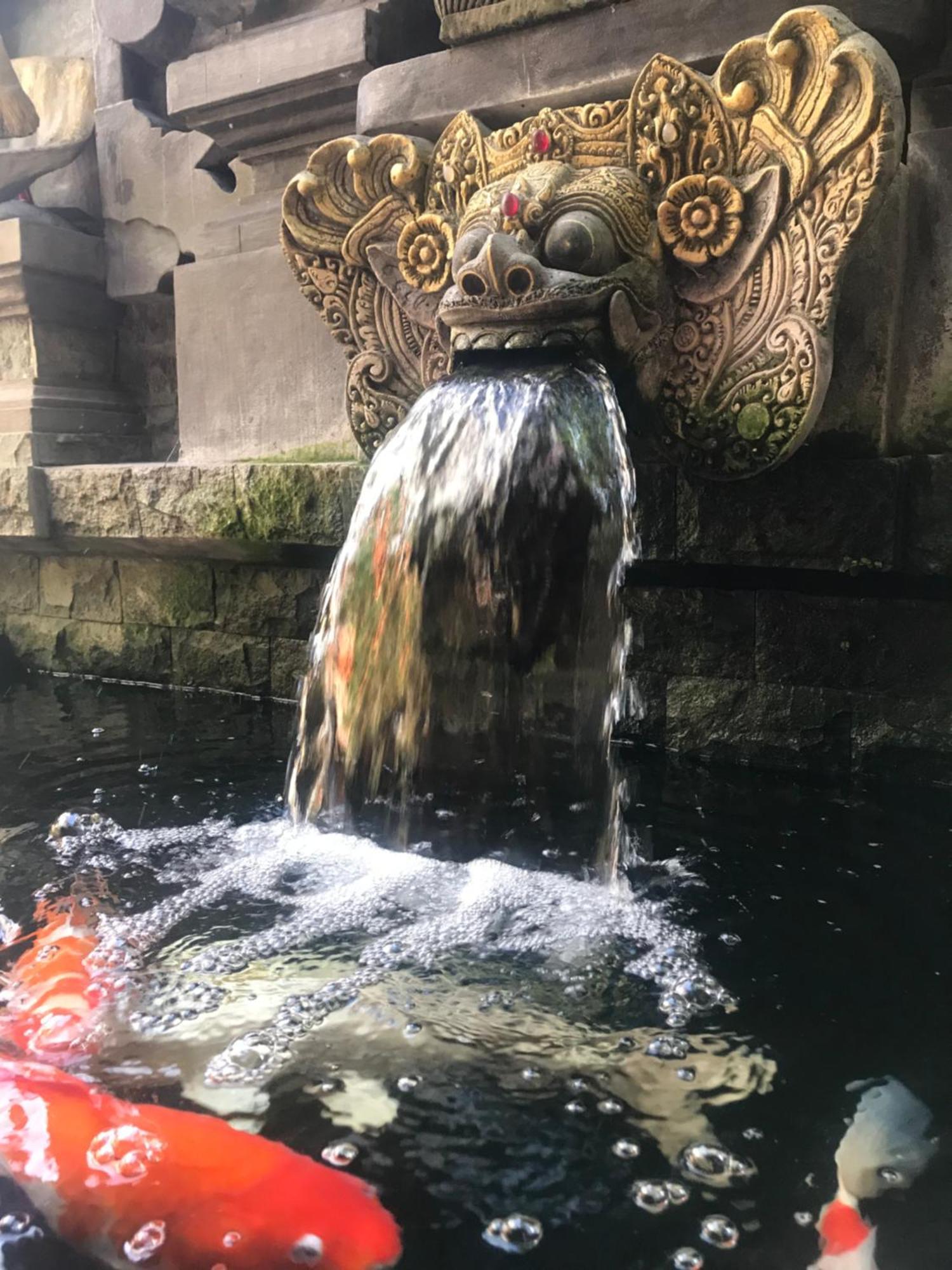 Banana Home Stay Ubud 外观 照片